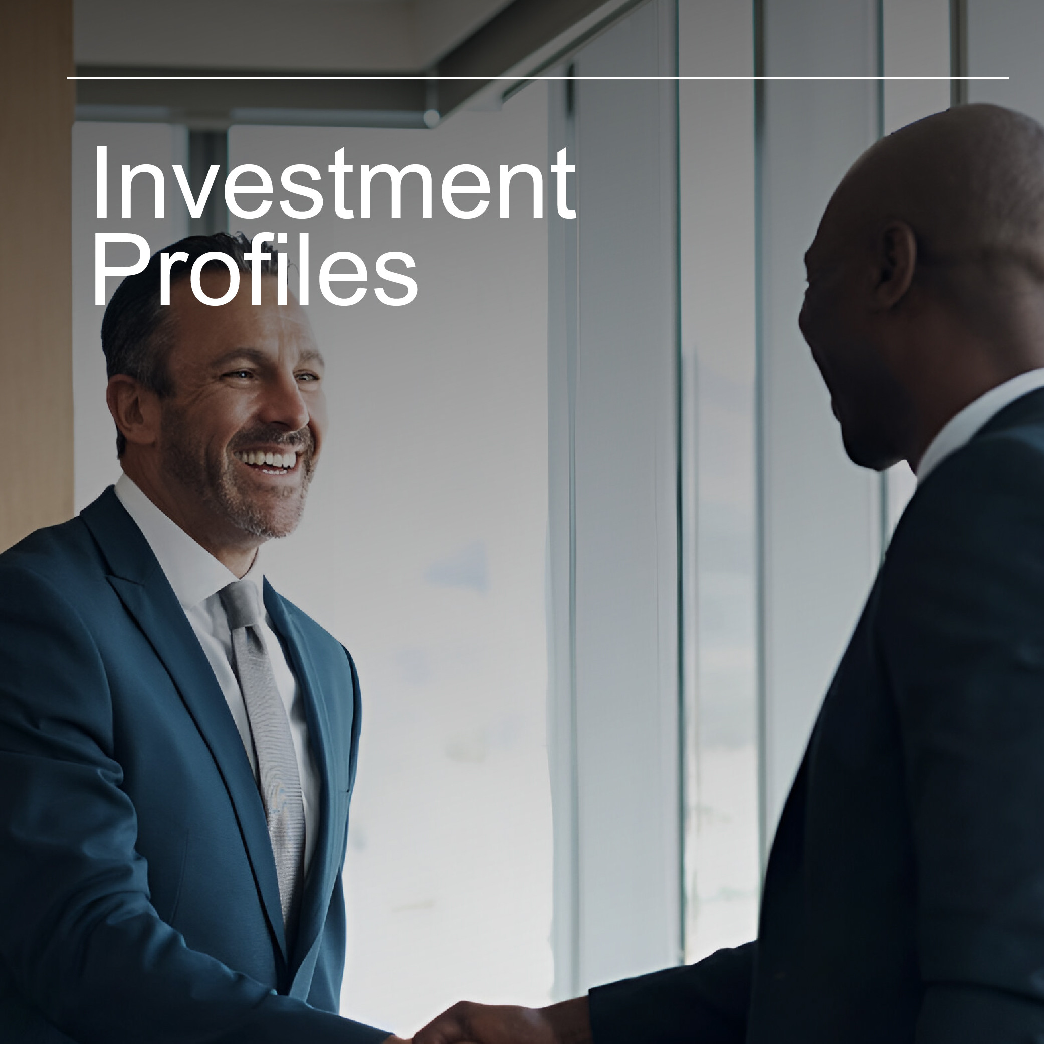 Investment Profiles